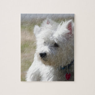 Westie in the springtime jigsaw puzzle