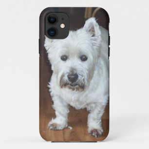 Westie iPhone case brown