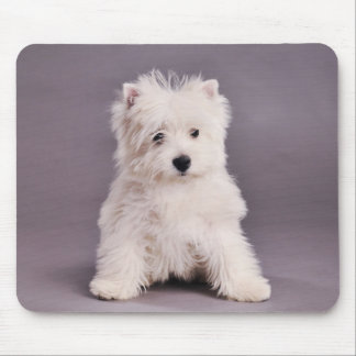 Westie mousepad