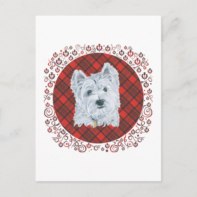 Westie on Tartan Postcard (Front)
