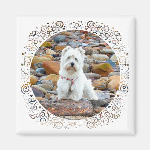 Westie on the Rocks Magnet