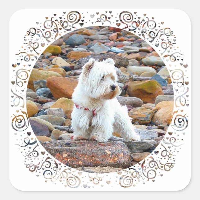 Westie on the Rocks Square Sticker (Front)