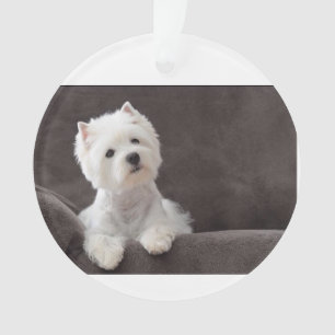 Westie Ornament