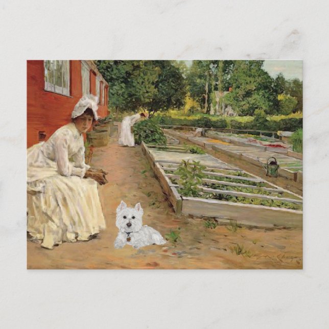 Westie Postcard (Front)
