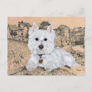 Westie Postcard