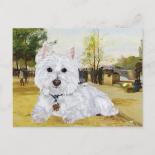 Westie Postcard