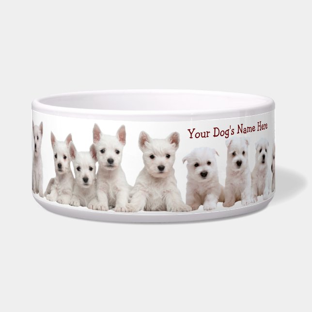 Westie Puppies Waiting Patiently For Their Food (Front)