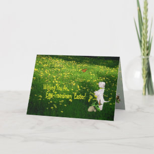 Westie Puppy Eggs -Traordinary Easter Wishes Holiday Card