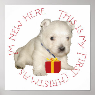 Westie Puppy First Christmas Poster