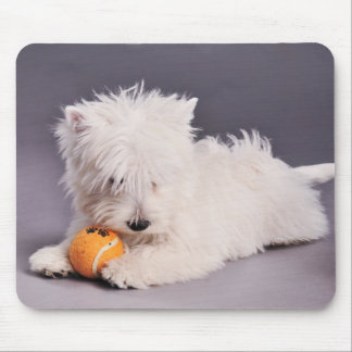 westie puppy mouse pad