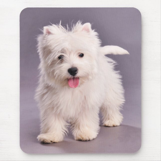 Westie puppy mouse pad (Front)