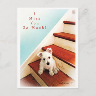 Westie Puppy On Step Missing You! #2 Postcard