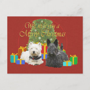 Westie & Scottie Merry Christmas Holiday Postcard