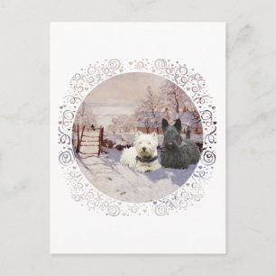 Westie & Scottie Winter Magpie Postcard