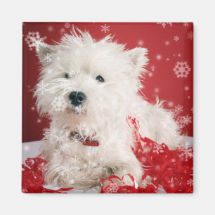 Westie Snowflake Holiday Design Magnet
