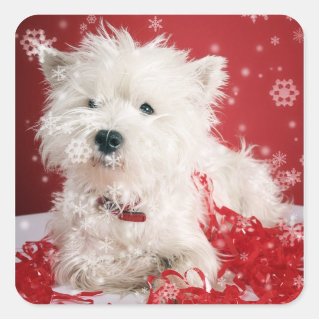 Westie Snowflake Holiday Design Square Sticker (Front)