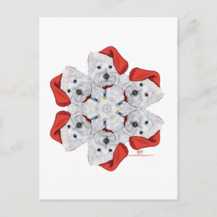 Westie Snowflake Postcard