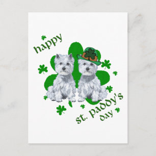 Westie St Patricks Day Postcard