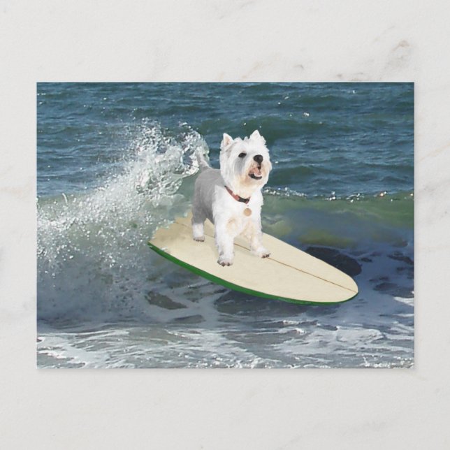 Westie Surfer Postcard (Front)