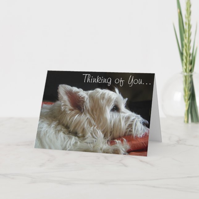 Westie Thinking of You Photo Greeting Card (Front)