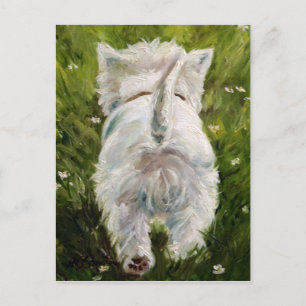 Westie West Highland Terrier Post Card