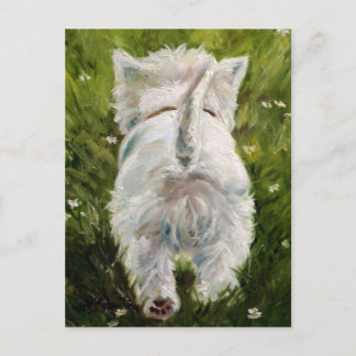 Westie West Highland Terrier Post Card