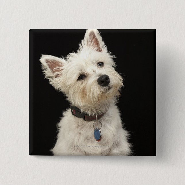 Westie (West Highland terrier) with collar 15 Cm Square Badge (Front)