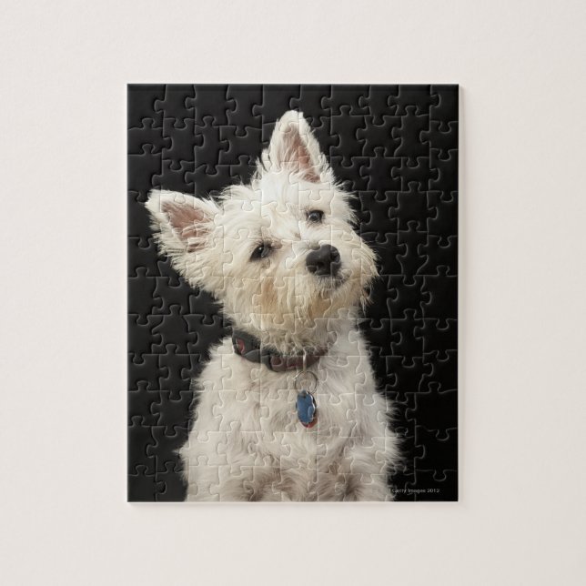 Westie (West Highland terrier) with collar Jigsaw Puzzle (Vertical)