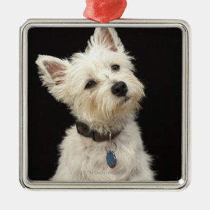 Westie (West Highland terrier) with collar Metal Ornament