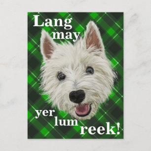 Westie Wisdom. Lang may yer lum reek! Postcard