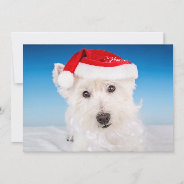 Westie with Santa Hat and Beard Holiday Card (Front)