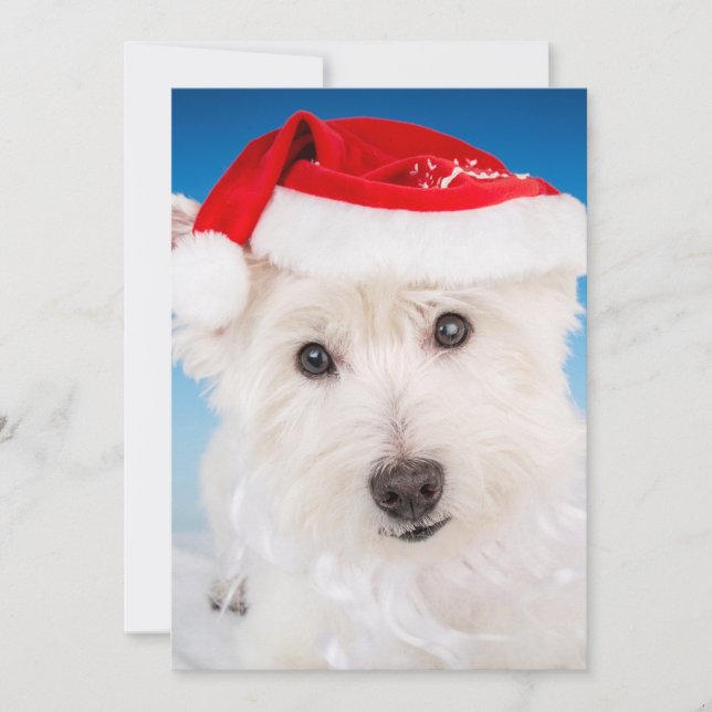 Westie with Santa Hat and Beard Holiday Card (Front)