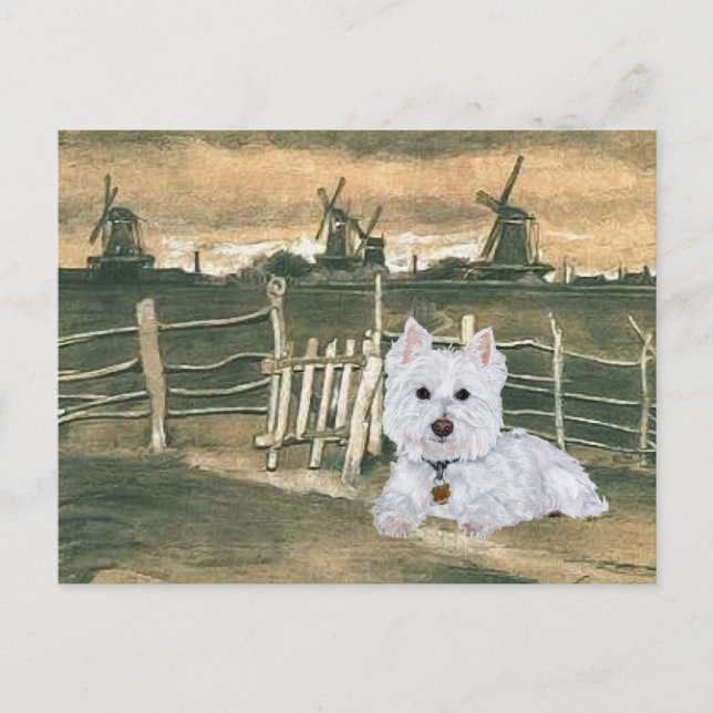 Westie with Windmills Postcard (Front)