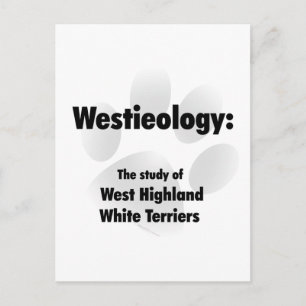 Westieology Postcard