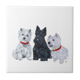 Westies and a Scottie Together Ceramic Tile