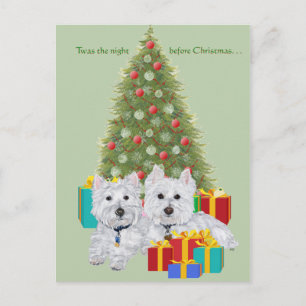 Westies by the Christmas Tree Holiday Postcard