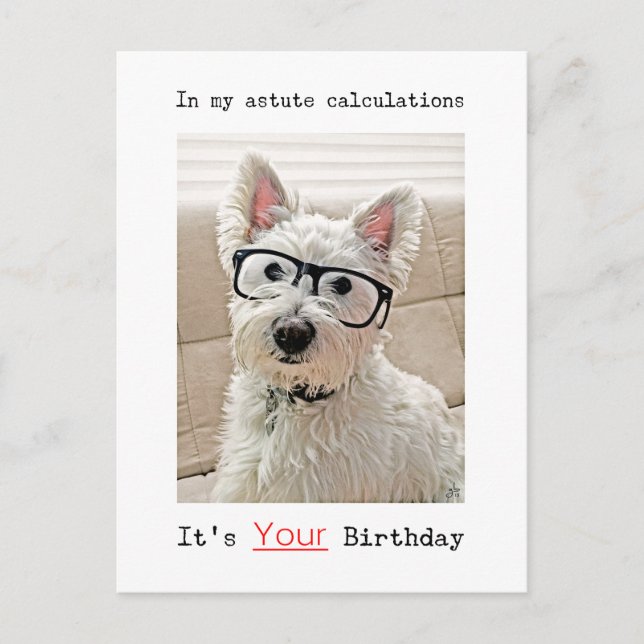 Westie's Calculation, It's Your Birthday, Postcard (Front)