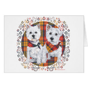 Westies on Tartan