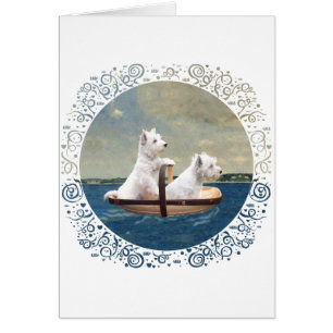 Westies Set Sail