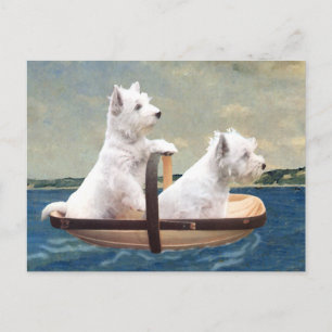 Westies Set Sail Postcard