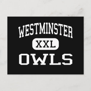 Westminster - Owls - High - Westminster Maryland Postcard