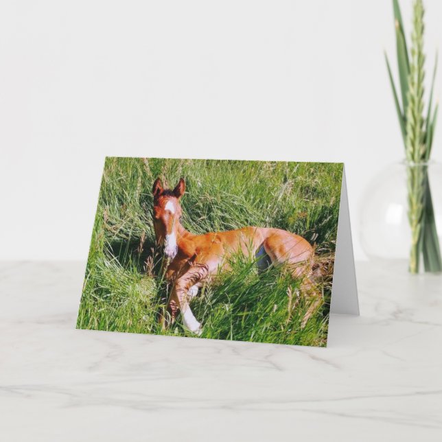 Weston napping card (Front)