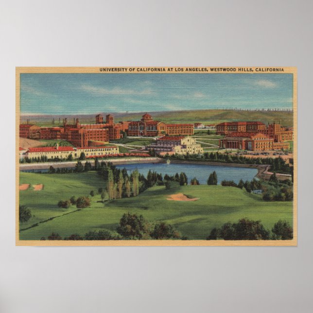 Westwood Hills, CA - View of U.C.L.A. Campus Poster (Front)