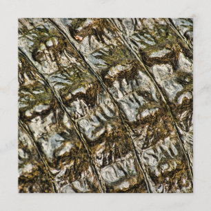 Wet Alligator Back Abstract Photograph Invitation