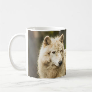 Wet Arctic Wolf in Spring Photo Coffee Mug