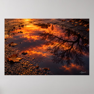 Wet Asphalt Sunset Reflection Photography Poster