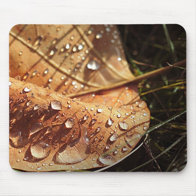 Wet Autumn Leaf - Mousepad (Front)