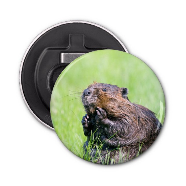 Wet Beaver Bottle Opener (Front)