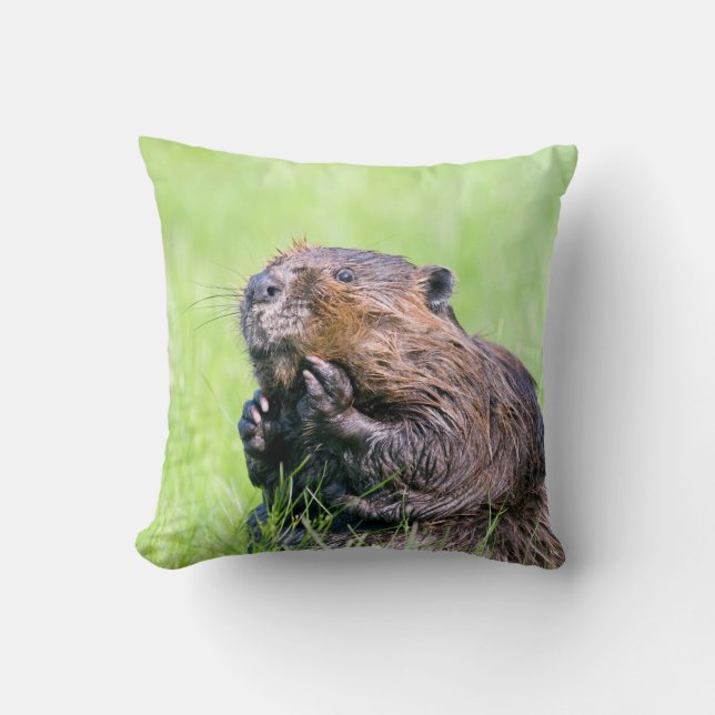 Wet Beaver Cushion (Front)