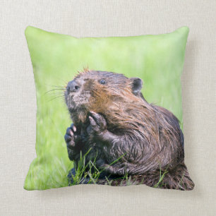 Wet Beaver Cushion